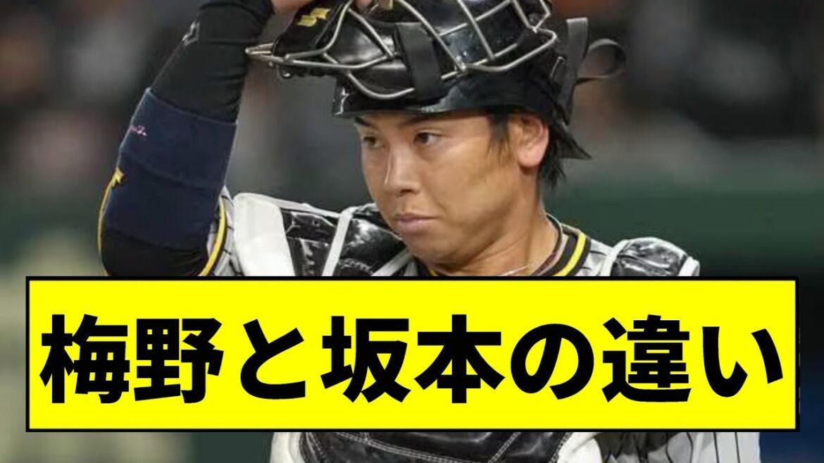 【阪神】梅野と坂本の違いｗｗｗｗｗｗｗｗｗ【2chスレ】