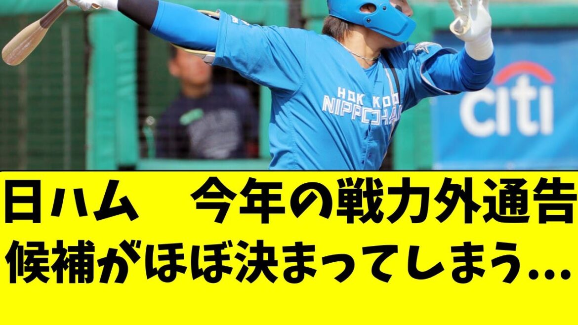 【日ハム】今年の戦力外通告候補の選手が完全に絞られた件
