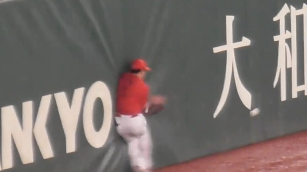 野間さん惜しい...フェンス激突も怪我なく良かった！巨人浅野の打球に身を呈して喰らいつく野間峻祥！2024年8月20日