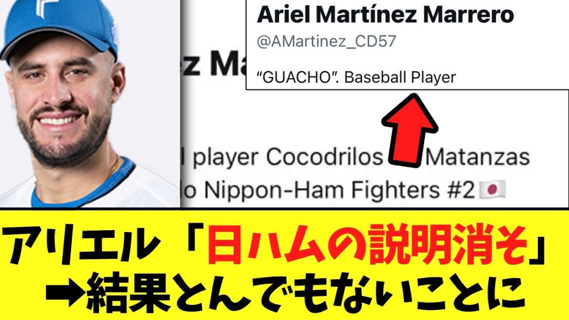 【悲報】アリエル「日ハムの説明消そ」➡結果とんでもないことに