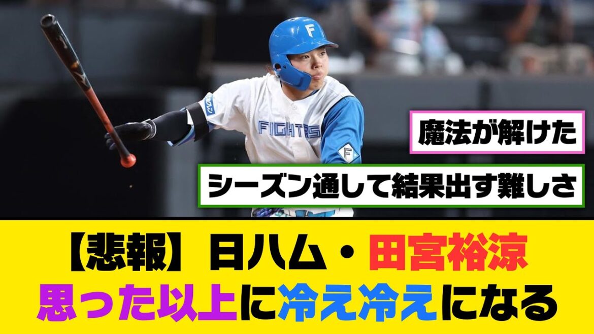 【悲報】日ハム・田宮裕涼、思った以上に冷え冷えになる...【5ch/2ch】【なんj/なんg】【反応集】