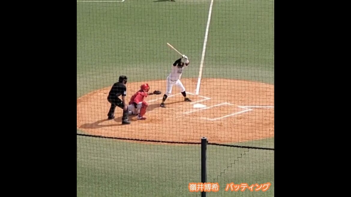 20240419　嶺井博希の#バッティング　#打撃　#バッティング打撃　#shorts　福岡ｿﾌﾄﾊﾞﾝｸﾎｰｸｽ2軍@ﾀﾏﾎｰﾑ ｽﾀｼﾞｱﾑ筑後［ｳｴｽﾀﾝ･ﾘｰｸﾞ 2軍戦］ﾀﾏｽﾀ筑後