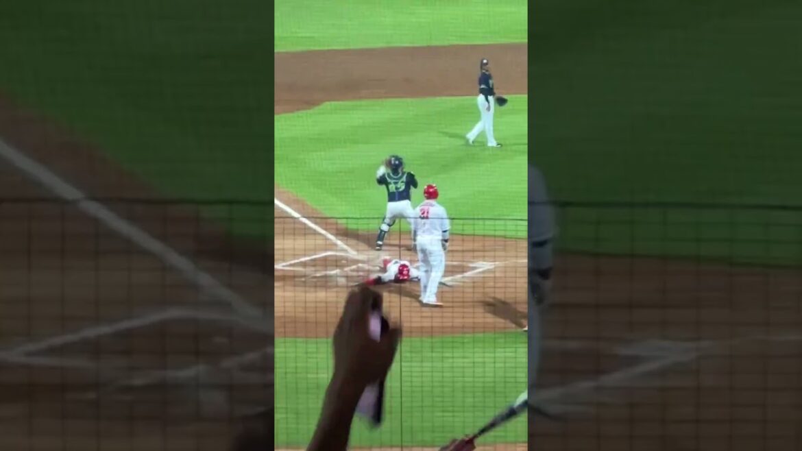 広島カープ 矢野雅哉 センターオーバーのランニング3ランホームラン プロ野球 #広島カープ #矢野雅哉