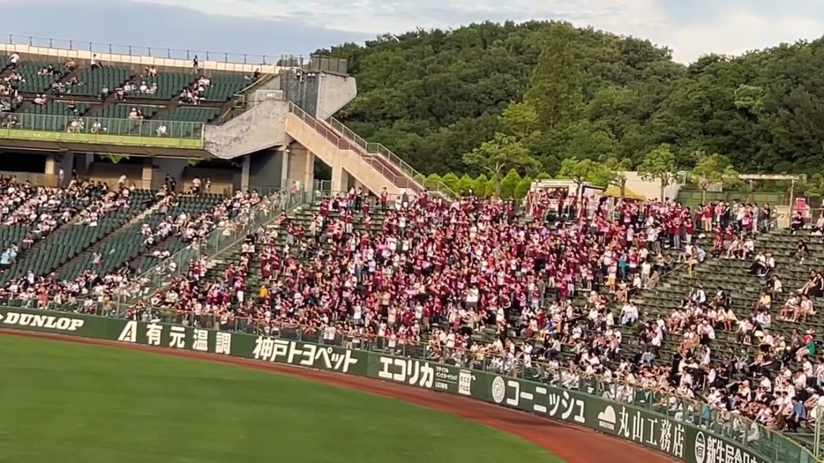 【応援歌】鈴木大地