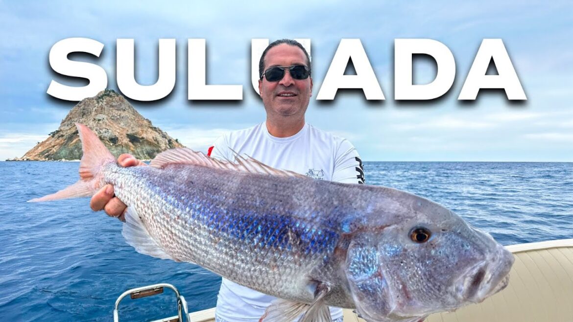 Sürpriz Yemle Muhteşem Sonuç – Kiloyu Bil, 500 Euro değerinde HÖWK Kamışı Kap Sürpriz Yemle Muhteşem Sonuç - Kiloyu Bil, 500 Euro değerinde HÖWK Kamışı Kap