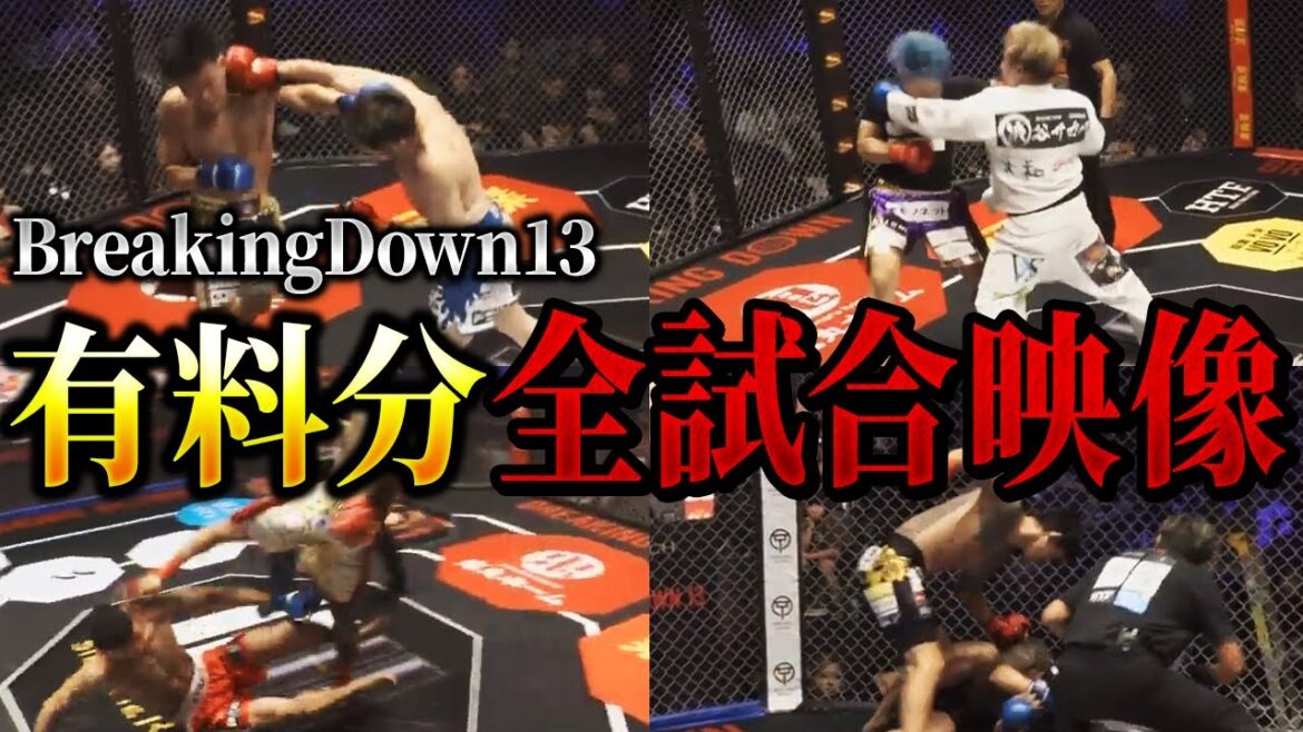 【ブレイキングダウン13】有料分含む全22試合映像ハイライト【朝倉未来/朝倉海/切り抜き】