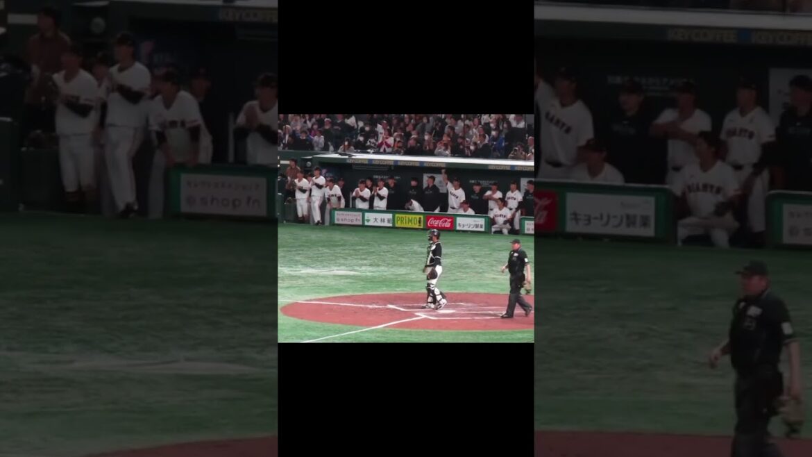 ウレーニャ ポテンヒットでベンチ大盛り上がり2024年3月19日 読売ジャイアンツ対 千葉ロッテマリーンズ #プロ野球 #野球 #baseball
