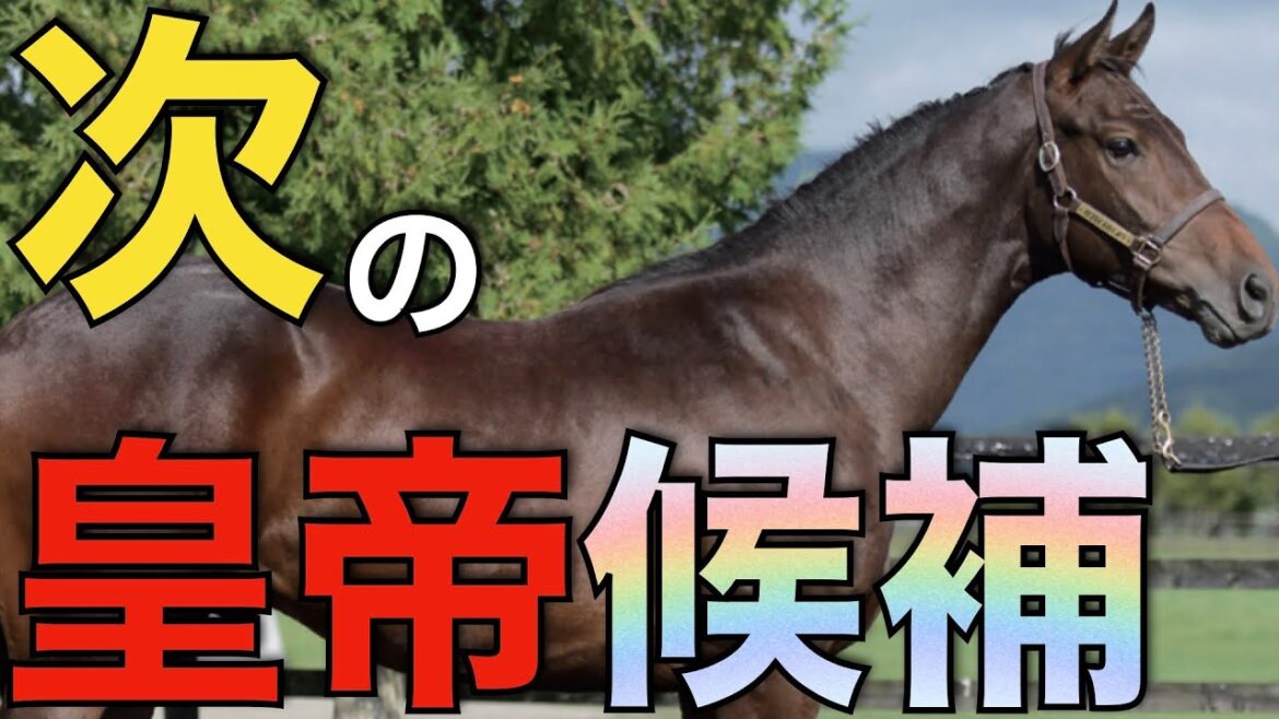 次のシンエンペラーはこの馬！矢作さんがフランスで億超え良血馬を購入。