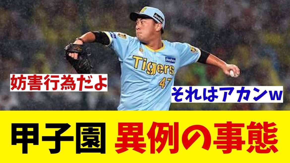 阪神対巨人の甲子園で異例の事態【野球情報】【2ch 5ch】【なんJ なんG反応】【野球スレ】