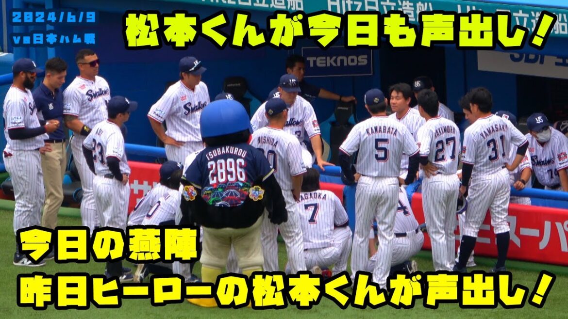 今日の燕陣　昨日ヒーローの松本直樹くんが声出し！！　2024/6/9 vs日本ハム