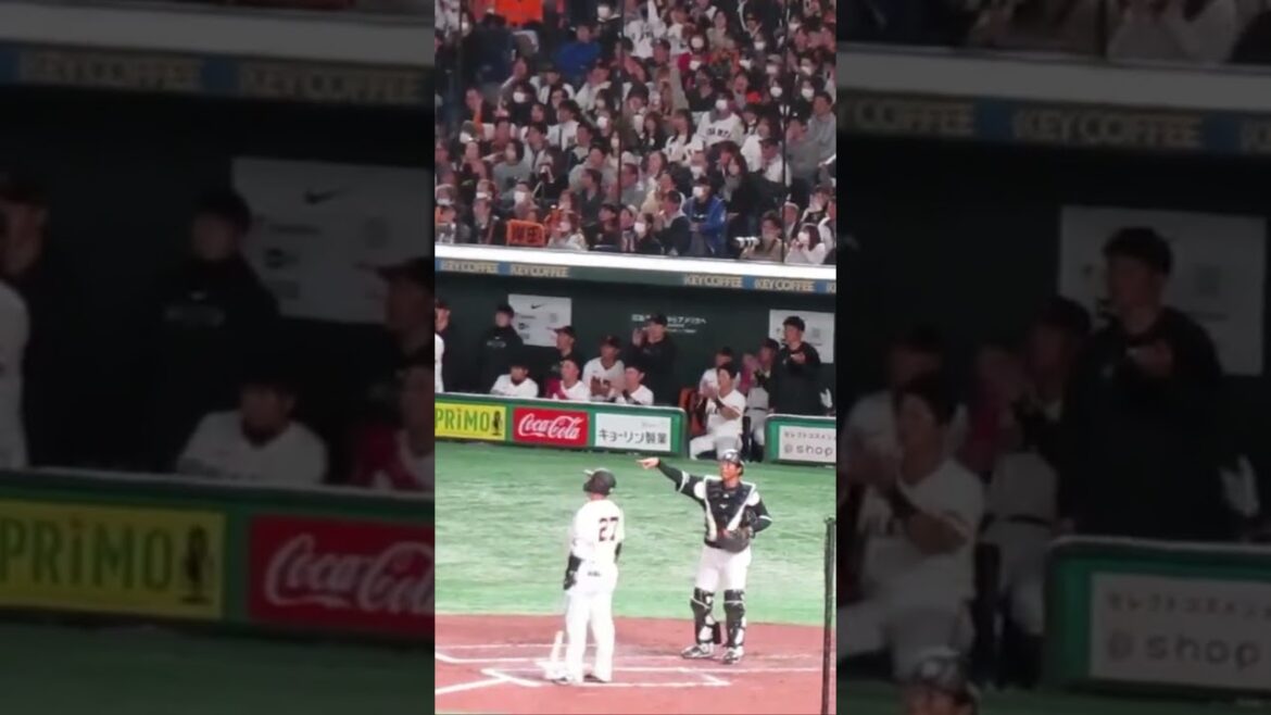 重信慎之介が盗塁成功 喜ぶ巨人ベンチの浅野翔吾など2024年3月19日 読売ジャイアンツ対 千葉ロッテマリーンズ #プロ野球 #野球 #baseball