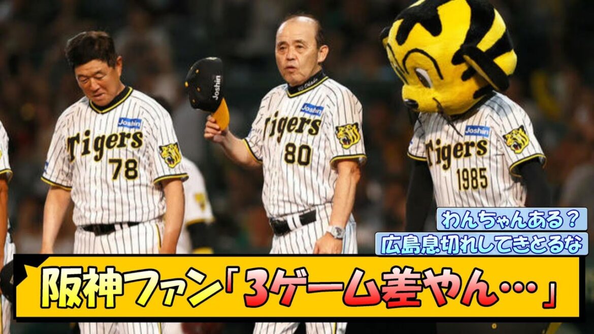 阪神ファン「3ゲーム差やん…」【なんJ/2ch/5ch/ネット 反応 まとめ/阪神タイガース/岡田監督/広島東洋カープ/読売ジャイアンツ】