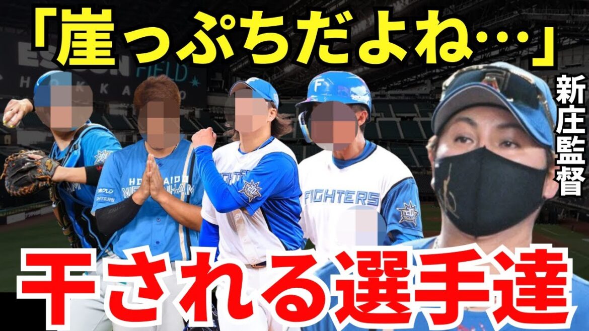 【崖っぷち…】日本ハムの快進撃とは裏腹に出場試合数が激減した選手たち 【崖っぷち…】日本ハムの快進撃とは裏腹に出場試合数が激減した選手たち