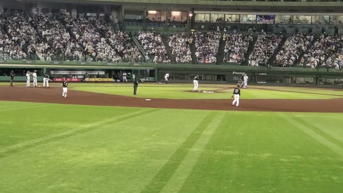 20240501　揺るぎない決意でCSへ！【若月健矢 応援歌】3回ｳﾗ　ｵﾘｯｸｽ･ﾊﾞﾌｧﾛｰｽﾞ@ほっともっとﾌｨｰﾙﾄﾞ神戸･ﾚﾌﾄ外野