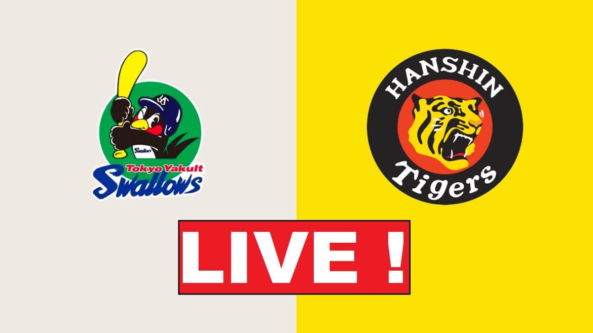 9月6日  LIVE ! ! ヤクルト vs 阪神 ~ プロ野球セ・リーグ2024