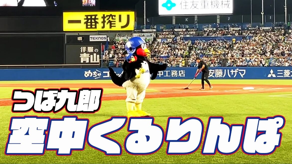 目の前を落下...つば九郎空中くるりんぱ｜2024年9月6日 阪神タイガース戦（神宮球場）