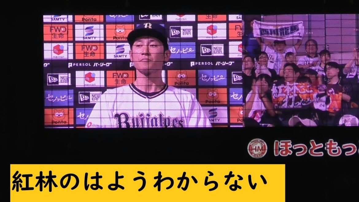 ヒロイン　＃紅林弘太郎　＃西川龍馬