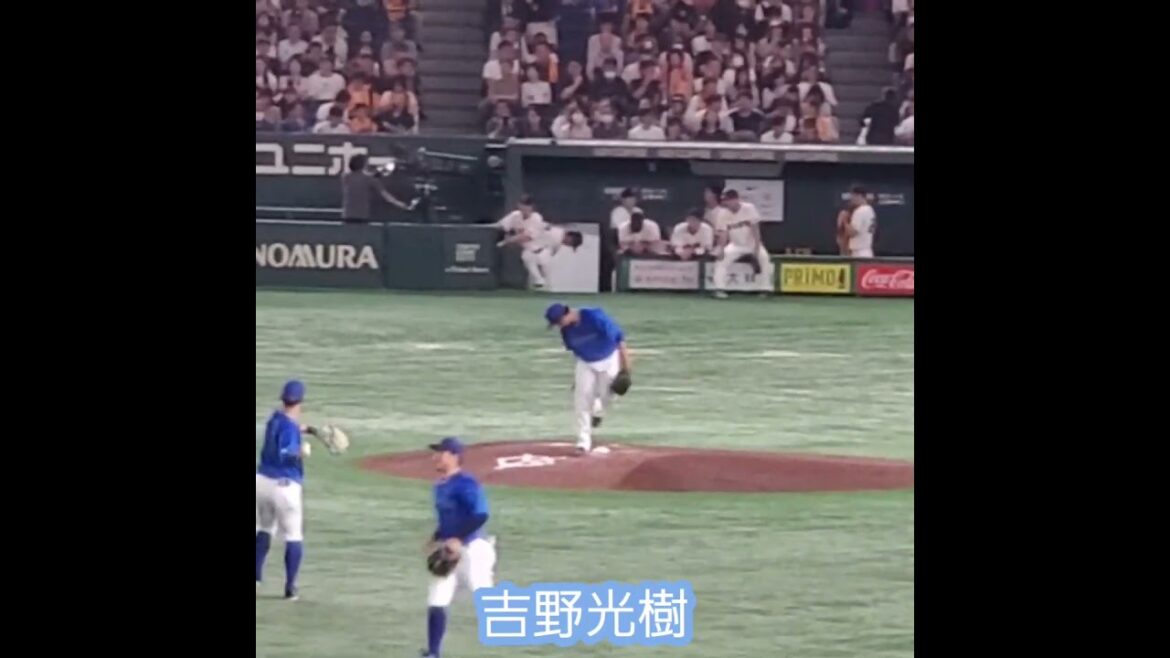 20240713　#吉野光樹 の投球練習　#shorts　横浜DeNAﾍﾞｲｽﾀｰｽﾞ　先発投手@東京ﾄﾞｰﾑ･ﾚﾌﾄ外野