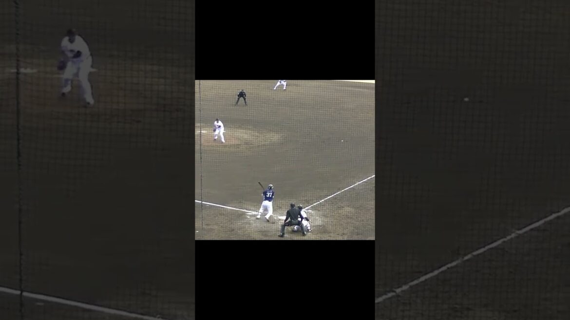 ライオンズ柘植世那うまい右打ちで一二塁のチャンスを作る【教育リーグ読売ジャイアンツ対 西武ライオンズ2024年3月10日】 #野球 #プロ野球