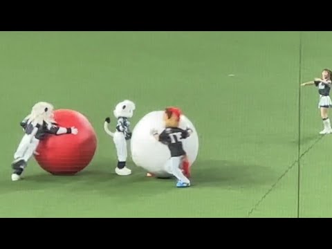 【アトラクションも勝て】レオvs フレップ・ザ・フォックスの大玉転がし対決!【西武vs日本ハム】2024/8/31 ライオンズフェスティバルズ 【アトラクションも勝て】レオvs フレップ・ザ・フォックスの大玉転がし対決!【西武vs日本ハム】2024/8/31 ライオンズフェスティバルズ