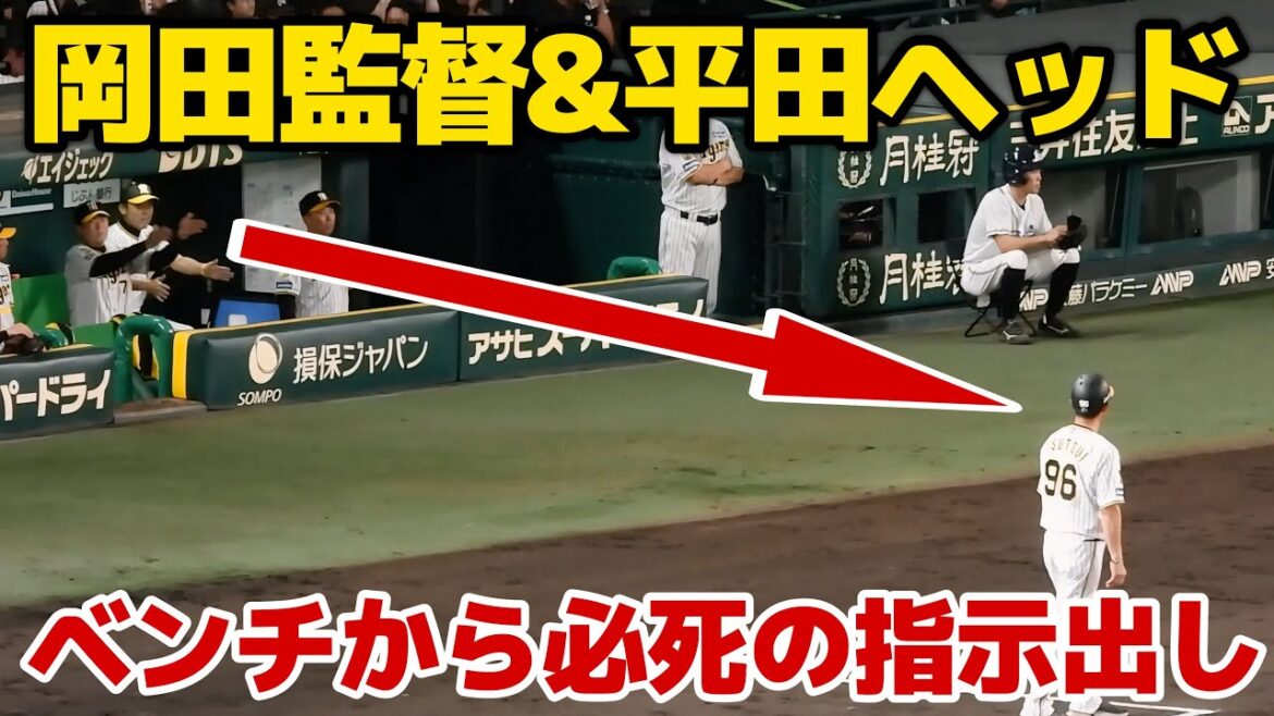 【近本も必死に声かけ】二塁ランナーの才木に対して筒井コーチ経由でベンチから必死に走塁アドバイスを送る岡田監督と平田ヘッド 2024.7.30