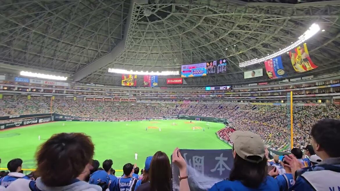 北海道日本ハムファイターズ 松本剛応援歌
