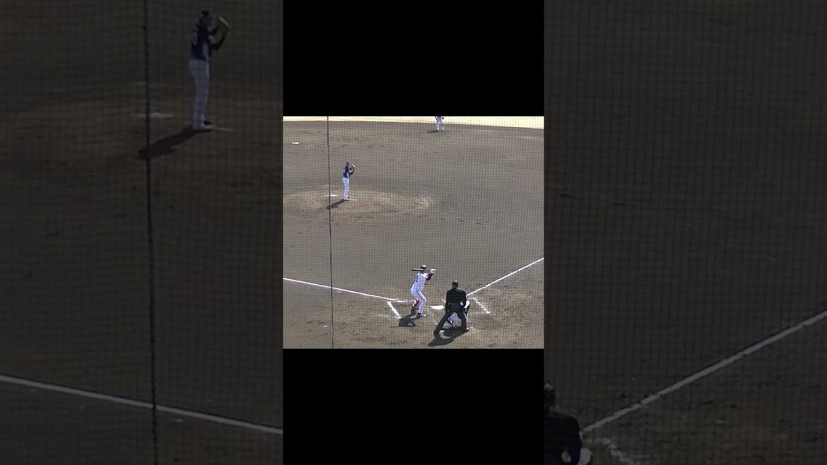 羽田慎之介が岡本大翔を三振【教育リーグ読売ジャイアンツ対 西武ライオンズ2024年3月10日】 #羽田慎之介 #プロ野球 #野球 #baseball