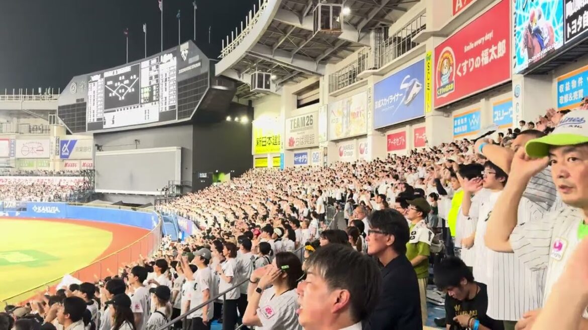 藤岡裕大応援歌 2024/9/6 ロッテ vs 楽天 #chibalotte 藤岡裕大応援歌 2024/9/6 ロッテ vs 楽天 #chibalotte