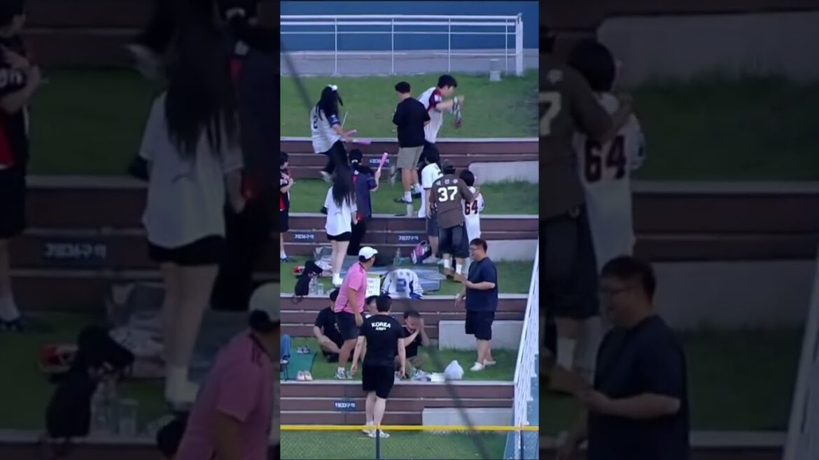 테임즈는 잊어라!! 4경기 연속 홈런 41호 데이비슨!! #kbo #NC다이노스 #홈런