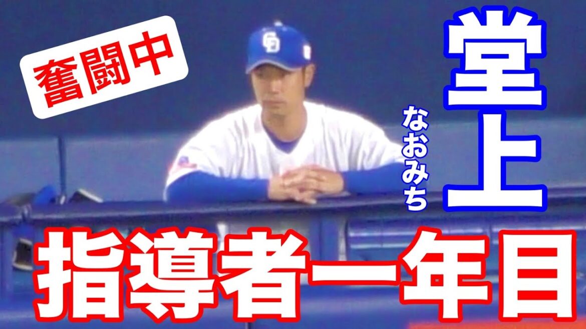 コーチ1年目・堂上直倫の現在【2024年8月29日 中日広島戦】 コーチ1年目・堂上直倫の現在【2024年8月29日 中日広島戦】