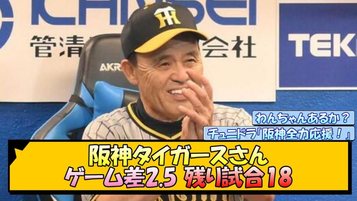阪神タイガースさん(ゲーム差2.5 残り試合18)【なんJ/2ch/5ch/ネット 反応 まとめ/阪神タイガース/岡田監督】