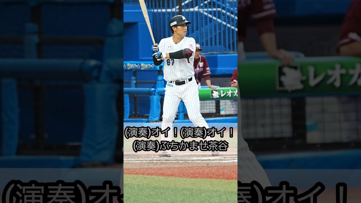 茶谷健太　応援歌