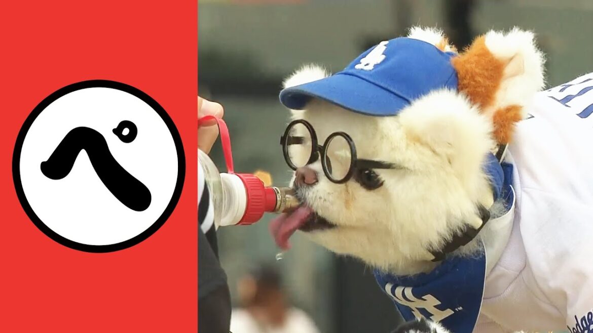 【ペ】ぺろぺろにメロメロ【まとめるほどではないまとめ】