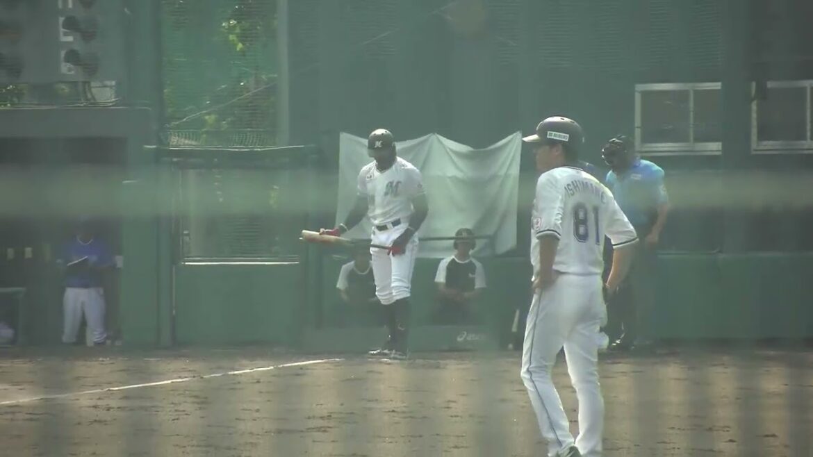 千葉ロッテマリーンズ アンディ・マーティン選手 第1打席 ショートフライ VS 横浜DeNAベイスターズ 2024/9/6 ロッテ浦和球場