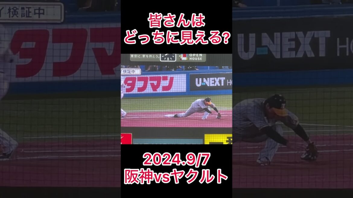 【場内騒然】リクエストの判定結果… #shorts #阪神タイガース #東京ヤクルトスワローズ