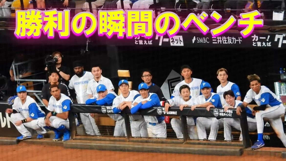 【20240906】サヨナラのベンチの様子 9回裏から(正義沼必見) 【20240906】サヨナラのベンチの様子 9回裏から(正義沼必見)