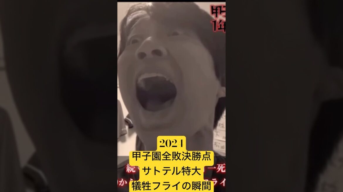 貧打CS童貞恐怖の効果抜群犠牲フライ‥2024中日甲子園全敗10連敗決勝点サトテル特大犠牲フライの瞬間by中日ガチ勢アウトローインハイ🔥 #中日ドラゴンズ #阪神タイガース #佐藤輝明