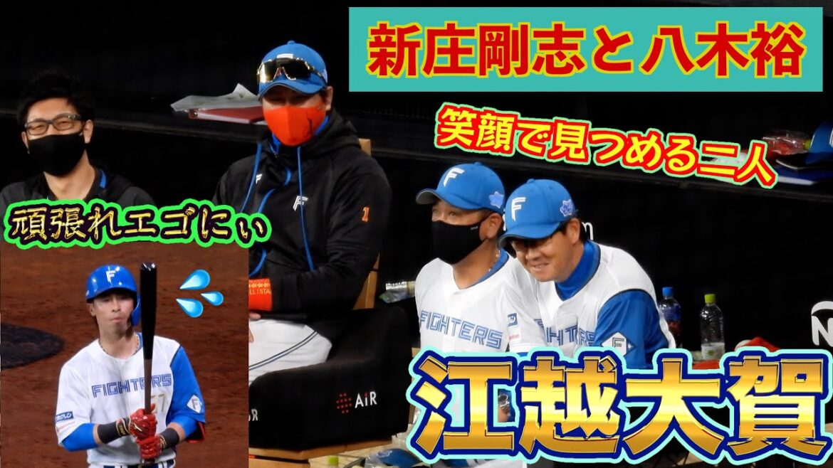 【20240907】江越大賀をベンチから見つめる新庄剛志と八木裕