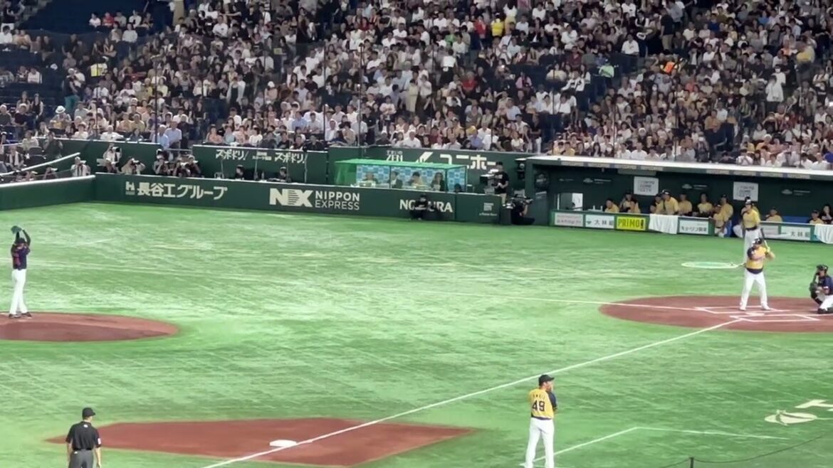 能見篤史vsランディ・バース【サントリードリームマッチ2024】 能見篤史vsランディ・バース【サントリードリームマッチ2024】