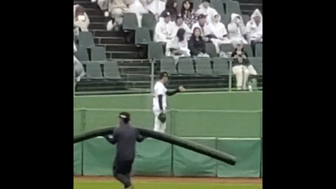 20240501　田嶋大樹　ﾌﾞﾙﾍﾟﾝで投球練習　#shorts　投球ﾌｫｰﾑ　ｵﾘｯｸｽ･ﾊﾞﾌｧﾛｰｽﾞ@ほっともっとﾌｨｰﾙﾄﾞ神戸･ﾚﾌﾄ外野