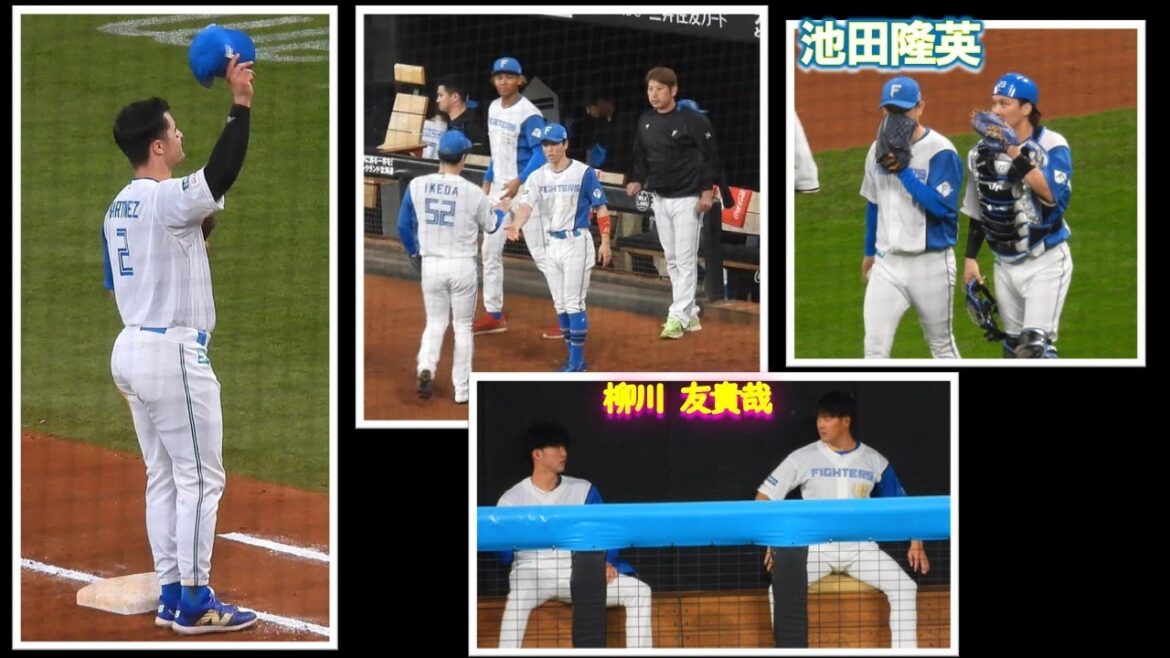 【20240907】加藤＆伏見→マルティネスHR後→柳川＆友貴哉→池ちゃん8回