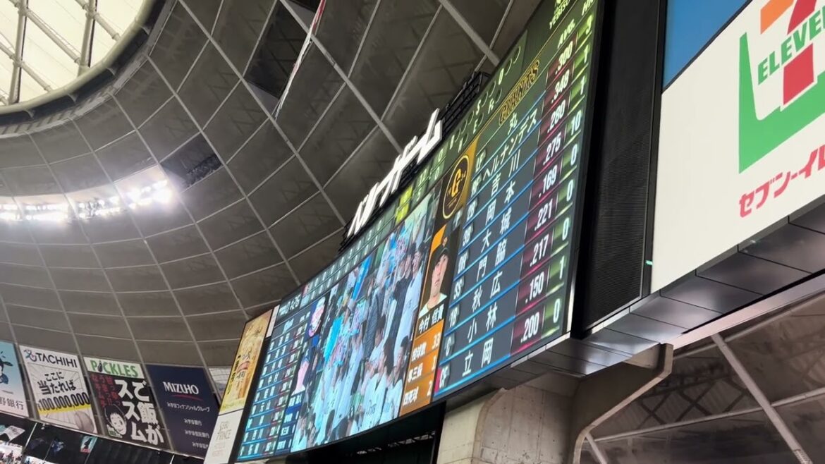 2024.6.1 与座海人 登場曲 AAA WAY OF GLORY