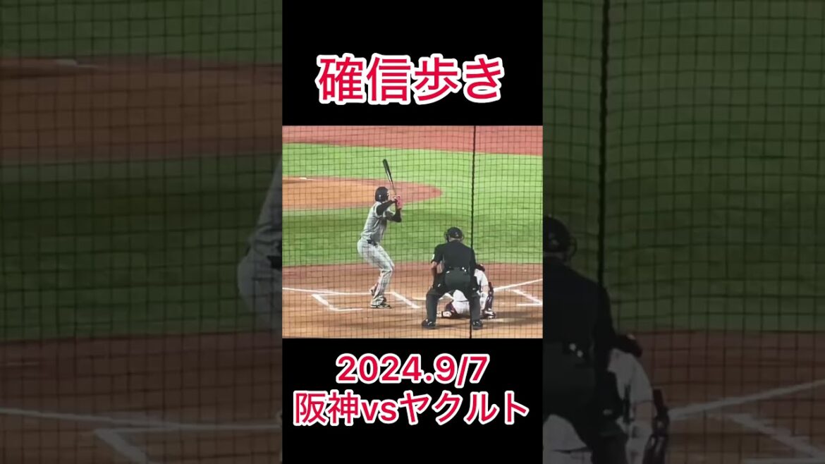 木澤投手の確信歩き #shorts #東京ヤクルトスワローズ #木澤尚文