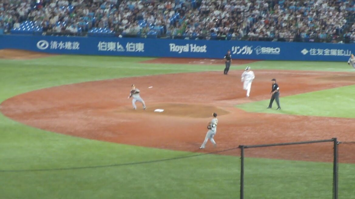 阪神 木浪聖也のキャッチによる、643のダブルプレー　ヤクルト vs 阪神　2024年9月6日(金) 神宮球場