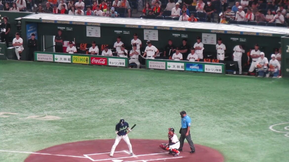 宮本丈の見逃し三振に喜ぶ巨人ベンチ＜読売ジャイアンツ 対 ヤクルトスワローズ2024年8月3日＞