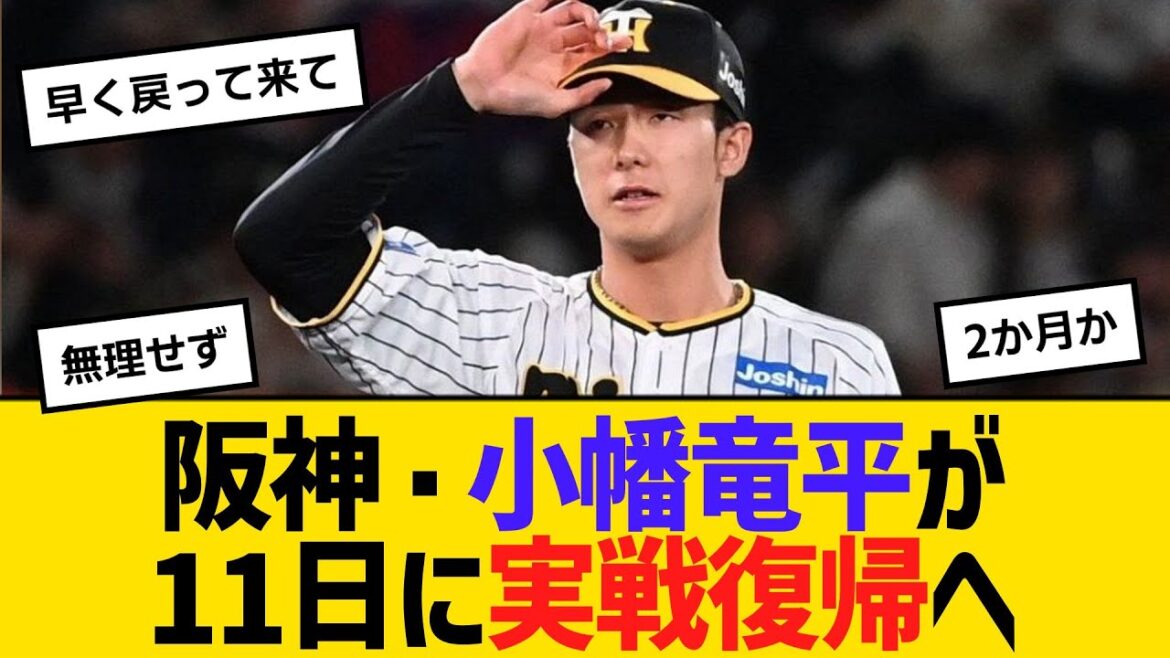 阪神・小幡竜平が11日に実戦復帰へ　【ネットの反応】【反応集】
