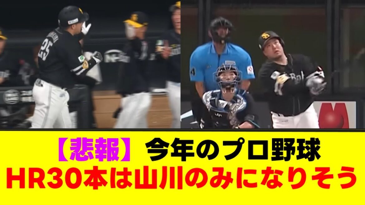 【悲報】プロ野球 ホームラン30本に届きそうなのが山川穂高しかいなくて終わる。【なんJまとめ】【2ch 5ch】