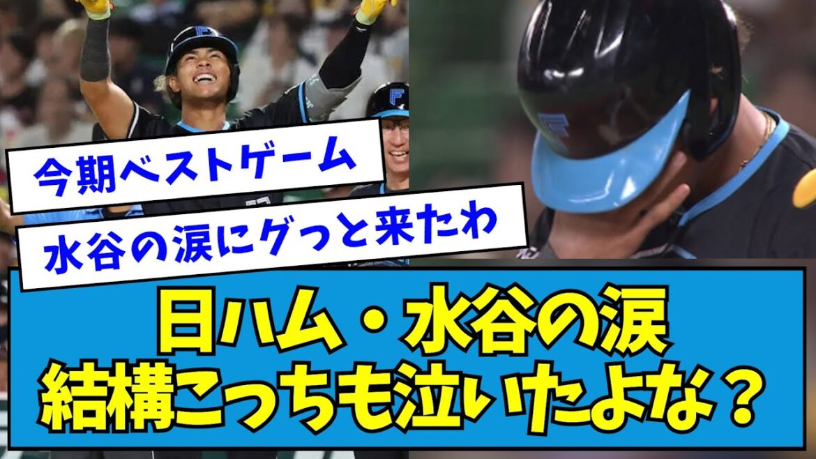 【感動】日ハム・水谷の涙、結構こっちも泣きそうになったよな?【なんJ反応】 【感動】日ハム・水谷の涙、結構こっちも泣きそうになったよな?【なんJ反応】