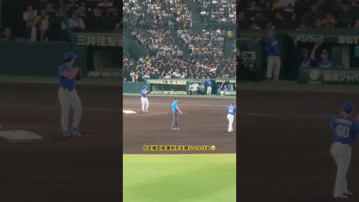 #植田海 危うく牽制死を喰らいかける