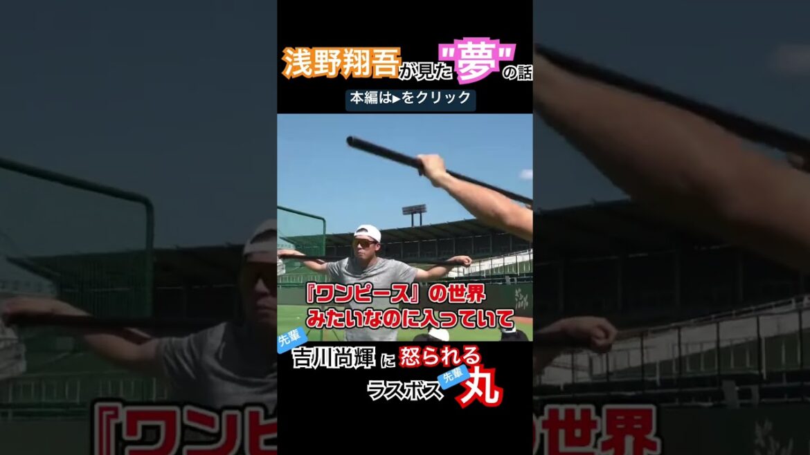 浅野翔吾が見た夢 #shorts